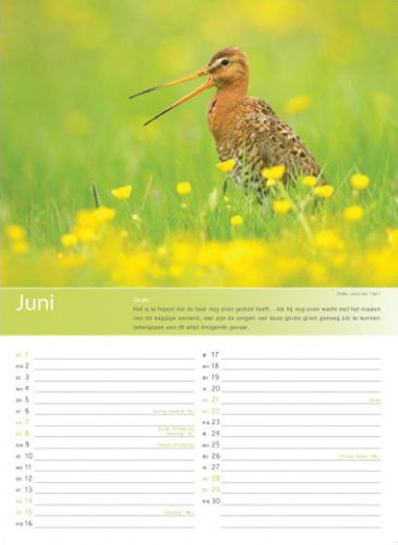 Birdpix kalender 2014 juni