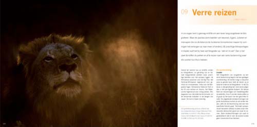 Praktijkboek wildlife fotografie - leeuw