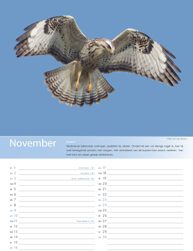 Birdpix kalender 2013 voorkant