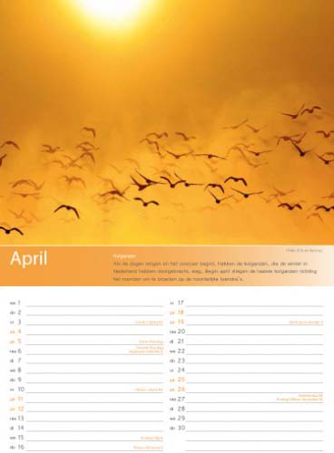 Birdpix kalender 2015 april