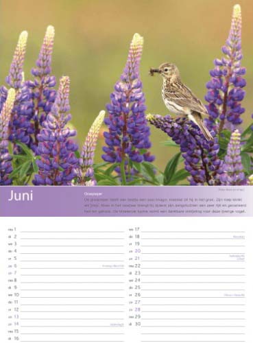 Birdpix kalender 2015 juni