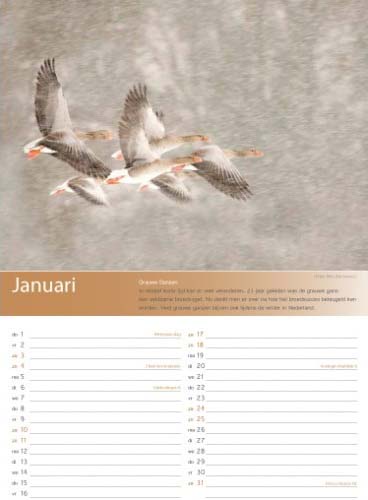 Birdpix kalender 2015 januari