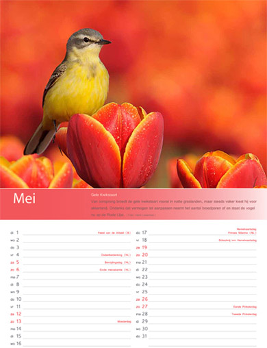 Birdpix kalender 2012