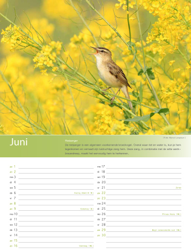 Birdpix kalender 2013 juni